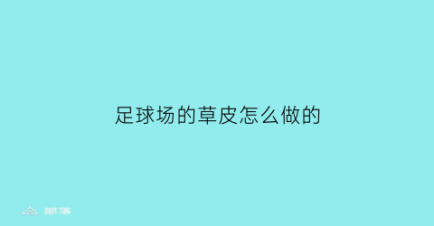 足球场的草皮怎么做的(足球场上的草皮是真的还是假的)
