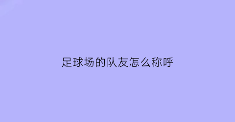 足球场的队友怎么称呼(足球场上的队医)
