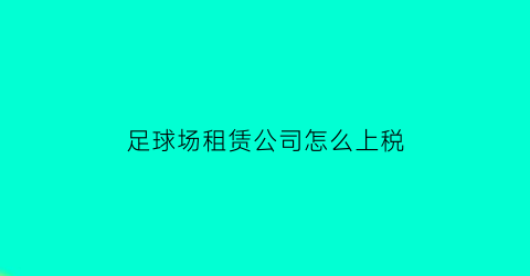 足球场租赁公司怎么上税(足球场租赁价格)