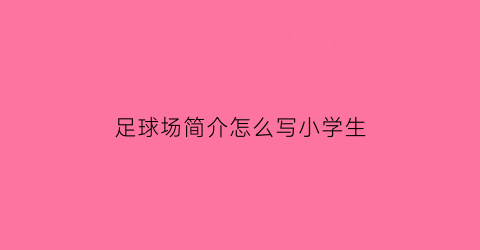 足球场简介怎么写小学生(足球场介绍作文)