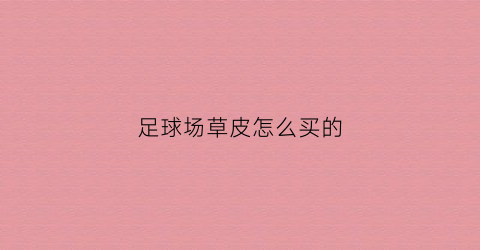 足球场草皮怎么买的(足球场的草皮铺设程序)