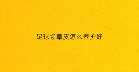 足球场草皮怎么养护好(足球场草皮怎么养护好呢)
