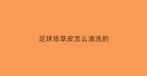 足球场草皮怎么清洗的(足球场草皮)
