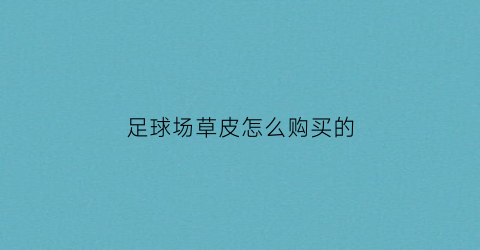 足球场草皮怎么购买的(专业足球场草皮多少钱)