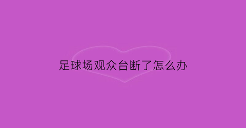 足球场观众台断了怎么办(足球场观众席座位图)