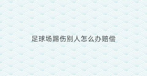 足球场踢伤别人怎么办赔偿(足球场踢足球伤到别人)