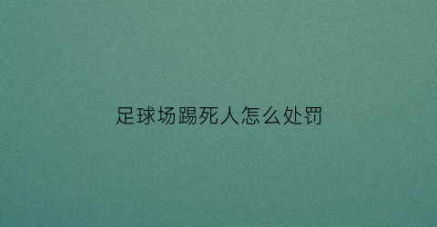 足球场踢死人怎么处罚(足球场踢伤人要负责吗)