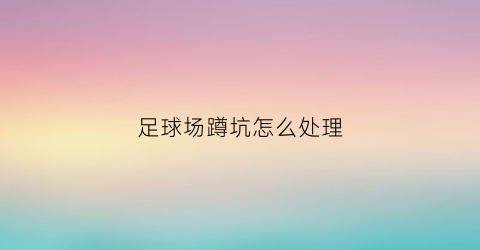 足球场蹲坑怎么处理(足球场踢进去的门叫什么)