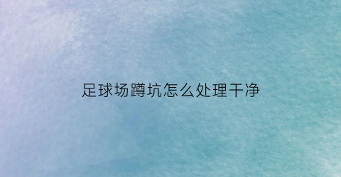 足球场蹲坑怎么处理干净(足球场蹲坑怎么处理干净视频)