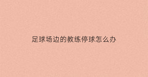 足球场边的教练停球怎么办(足球教练停职)