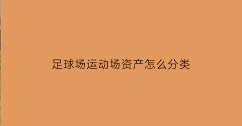 足球场运动场资产怎么分类(足球场算固定资产吗)