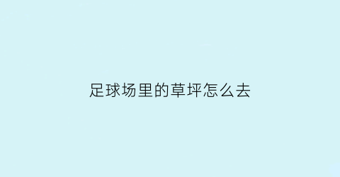 足球场里的草坪怎么去(足球场上的草坪)