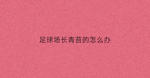 足球场长青苔的怎么办(足球场上的草坪叫什么)