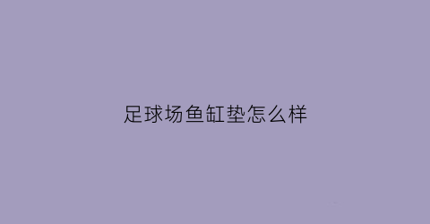 足球场鱼缸垫怎么样(足球场鱼缸垫怎么样清洗)