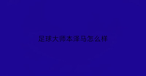 足球大师本泽马怎么样(足球运动员本泽马)