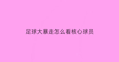 足球大暴走怎么看核心球员(足球大暴走球员升星)
