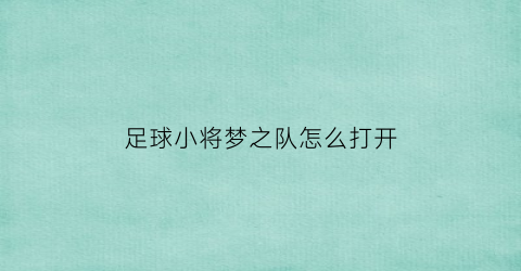 足球小将梦之队怎么打开(足球小将梦之队国际服论坛)