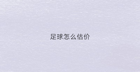 足球怎么估价(足球的平均价格)