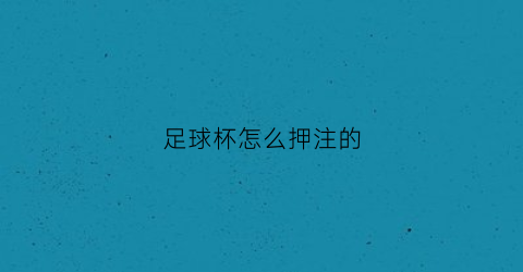 足球杯怎么押注的(足球杯买球是哪个app)