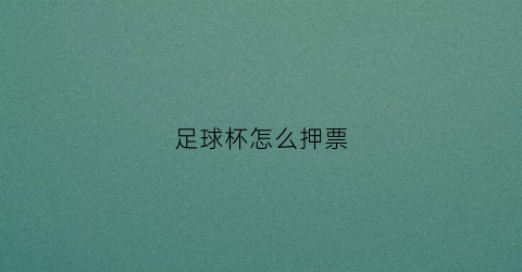 足球杯怎么押票(足球杯怎么押注)
