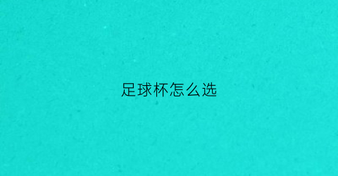 足球杯怎么选(足球杯用的什么足球)