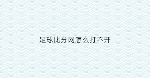足球比分网怎么打不开(足球在比分网)