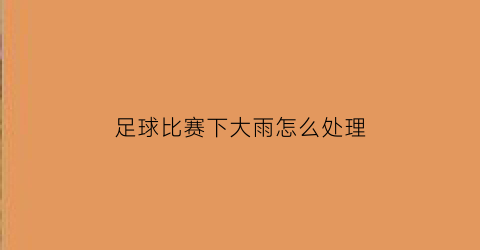 足球比赛下大雨怎么处理(足球下大雨怎么办)