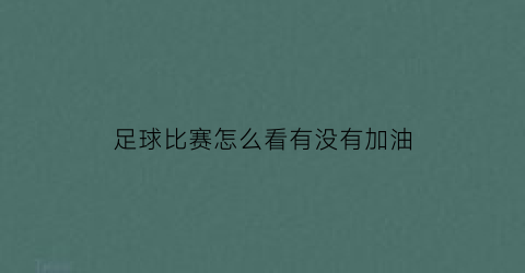 足球比赛怎么看有没有加油(怎么能看懂足球比赛)