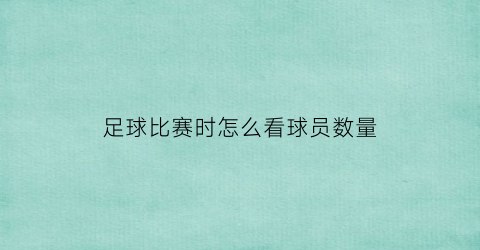 足球比赛时怎么看球员数量(足球比赛时怎么看球员数量多少)