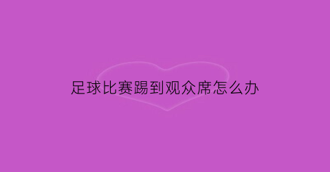 足球比赛踢到观众席怎么办(足球比赛踢到观众席怎么办呢)