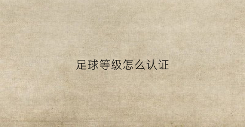 足球等级怎么认证(足球等级证书查询)