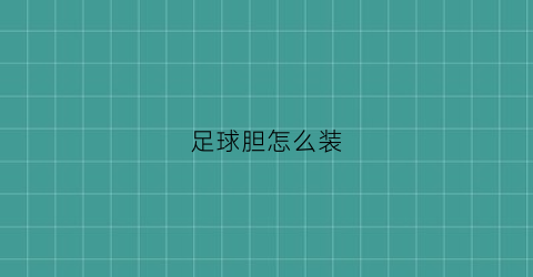 足球胆怎么装(足球比赛胆是什么意思)
