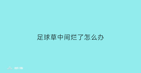 足球草中间烂了怎么办(足球场的草为什么踩不死)