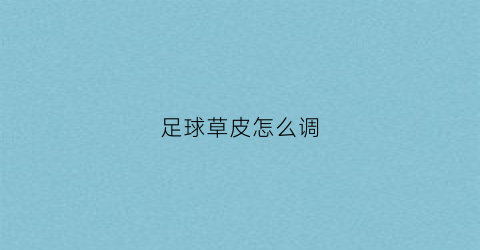 足球草皮怎么调(足球草皮种类)