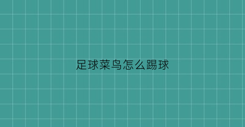 足球菜鸟怎么踢球(足球菜鸟踢什么位置好)