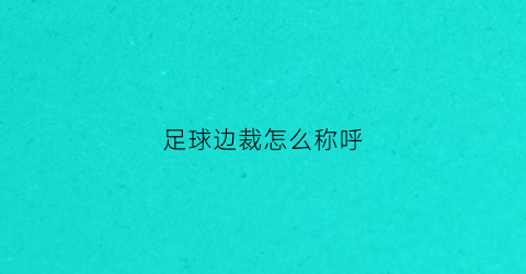 足球边裁怎么称呼(足球的边裁是干嘛的)