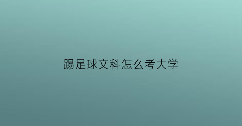 踢足球文科怎么考大学(足球文科生是谁)