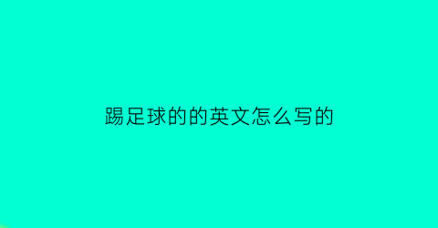 踢足球的的英文怎么写的(踢足球用英文单词怎么说)