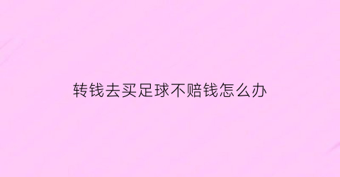 转钱去买足球不赔钱怎么办(买足球赚钱的人)