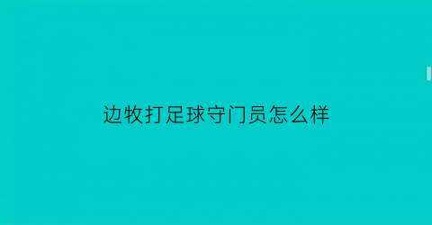 边牧打足球守门员怎么样(边牧攻击)