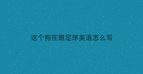 这个狗在踢足球英语怎么写(我的狗正在玩足球英语)