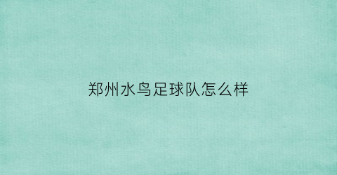 郑州水鸟足球队怎么样(水鸟体育)
