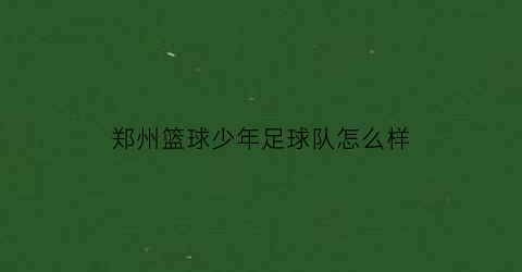 郑州篮球少年足球队怎么样(郑州市篮球队)