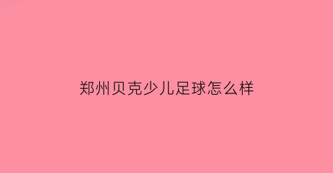 郑州贝克少儿足球怎么样(郑州贝克大酒店有限公司)