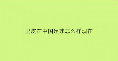 里皮在中国足球怎么样现在(里皮在中国队带队成绩)