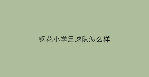 钢花小学足球队怎么样(钢花小学属于哪个区)