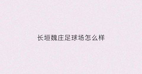 长垣魏庄足球场怎么样(长垣魏庄足球场怎么样呀)