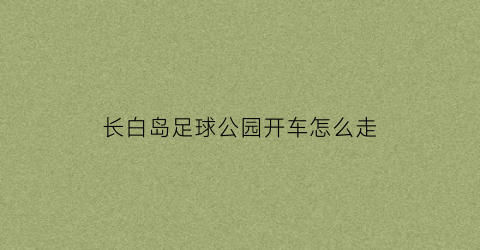 长白岛足球公园开车怎么走(长白岛森林公园篮球场)
