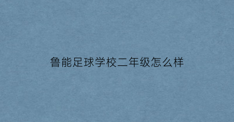 鲁能足球学校二年级怎么样(鲁能足球学校招生简章2020电话号码)