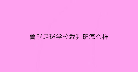 鲁能足球学校裁判班怎么样(鲁能足球学校地址)